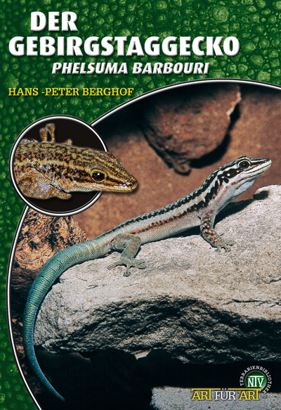 Der Gebirgstaggecko - Phelsuma barbouri (Hans-Peter Berghof)