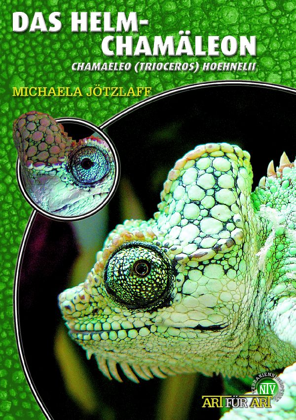 Das Helmchamäleon - Chamaelo triocerus hoehnelii (Michaela Jötzl)aff