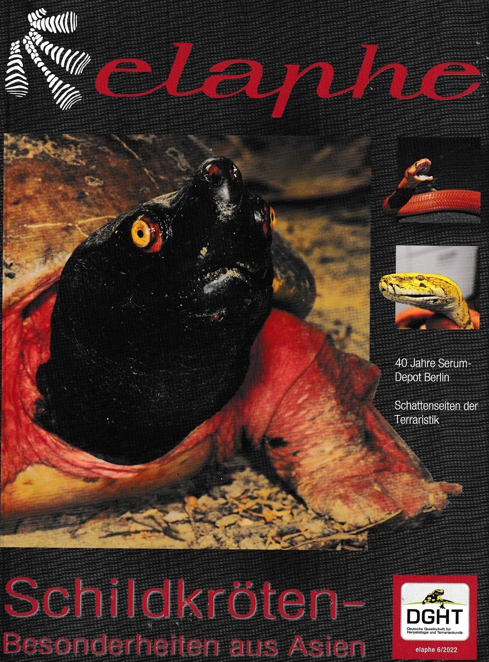Restposten: Elaphe Fachzeitschrift des DGHT  Heft 06/2022