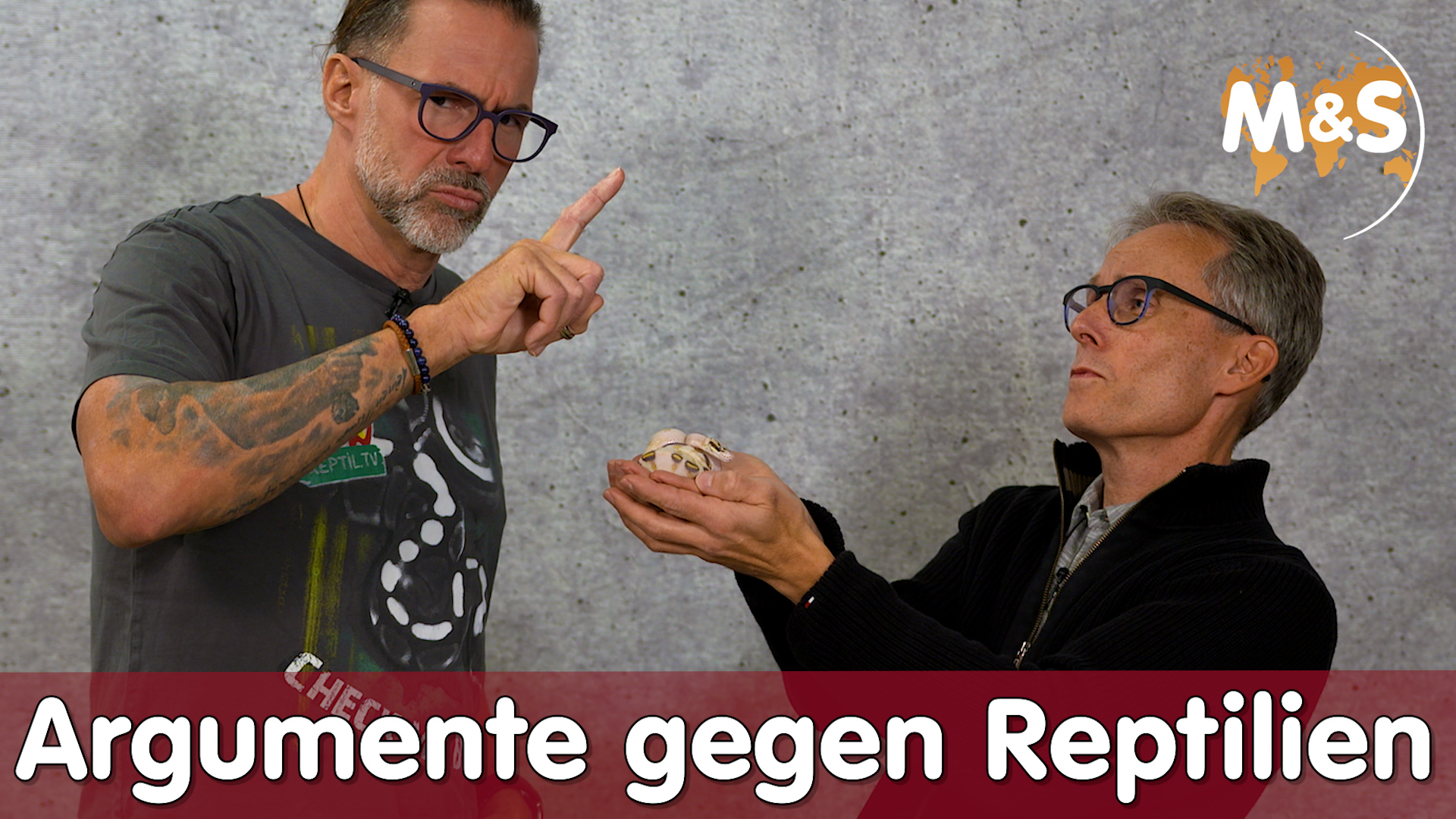Eltern von Reptil überzeugen! | 8 Argumente entkräftet | Reptil TV