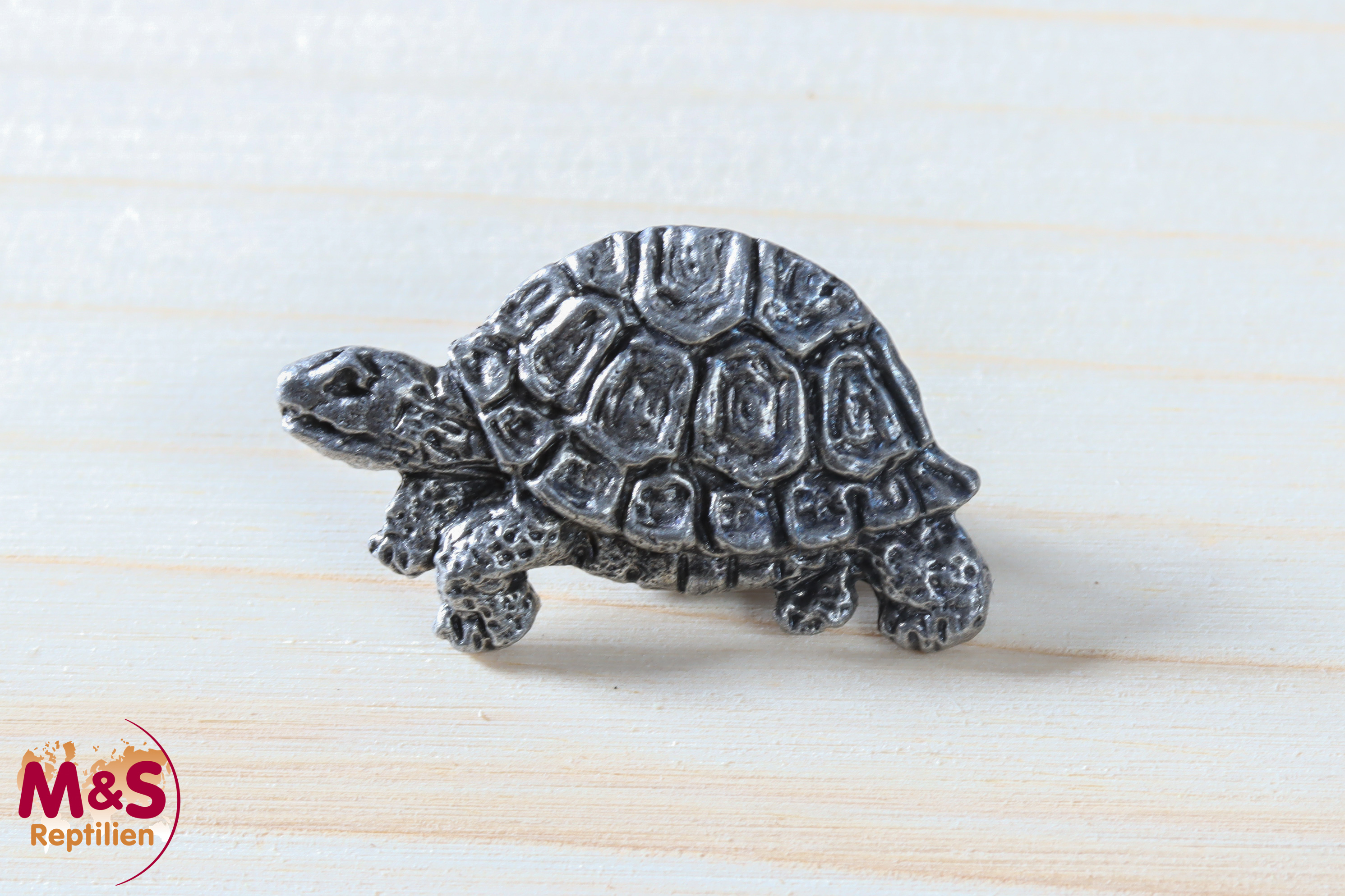 Anstecker (Pin) Landschildkröte