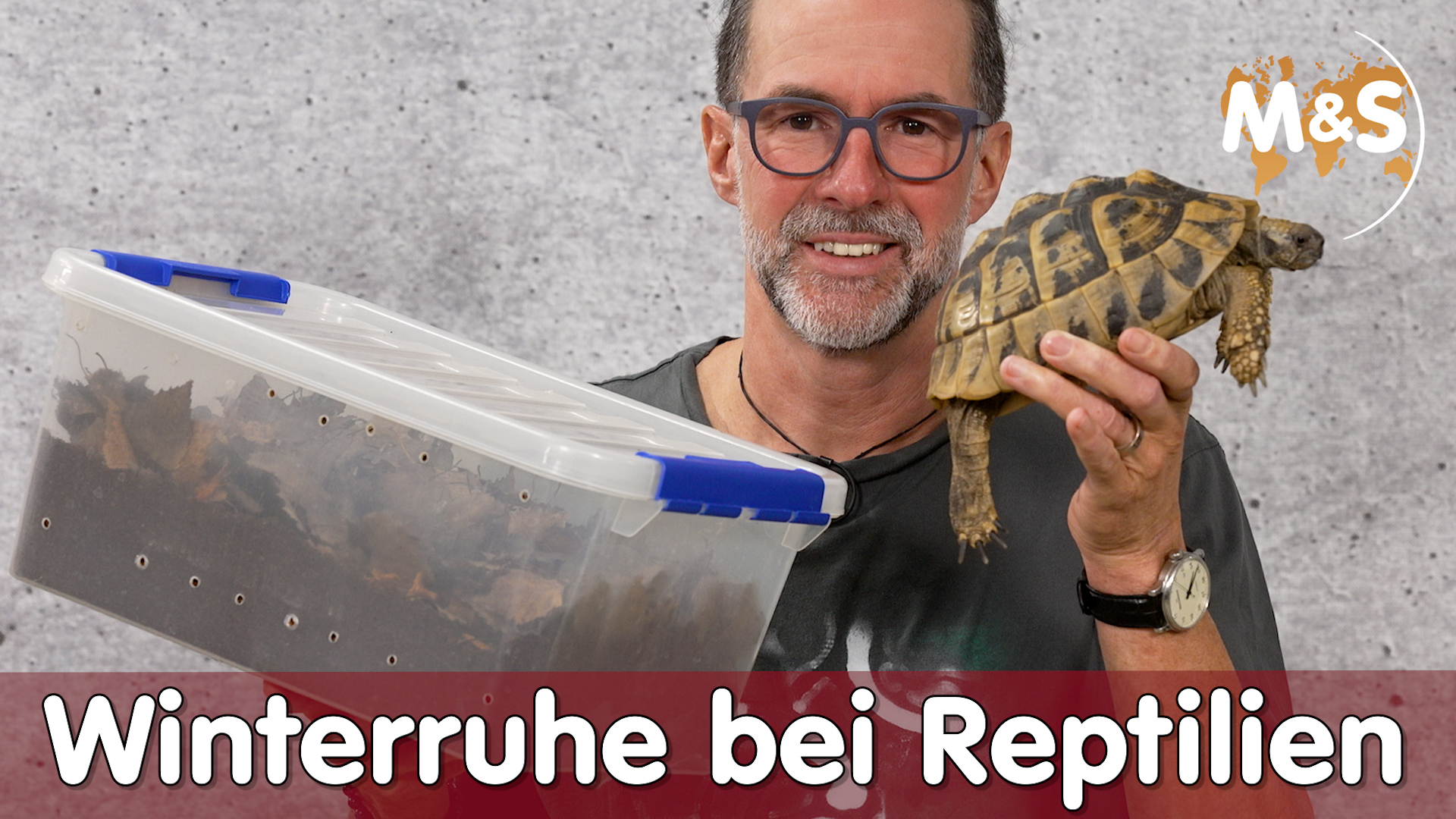 Winterruhe / Winterstarre | So geht es richtig!