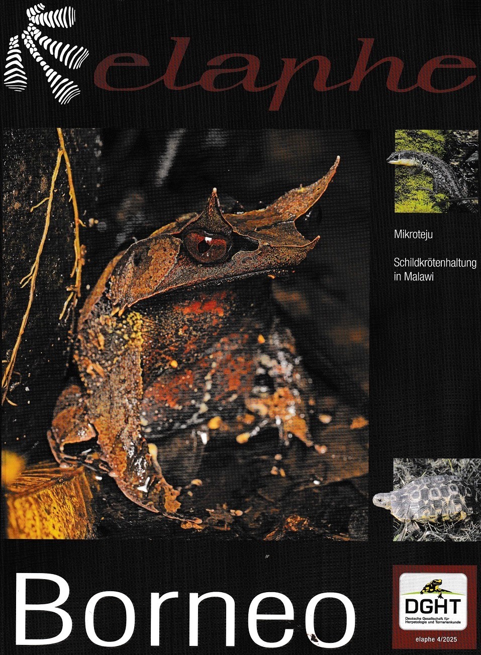 Restposten: Elaphe Fachzeitschrift des DGHT  Heft 04/2025