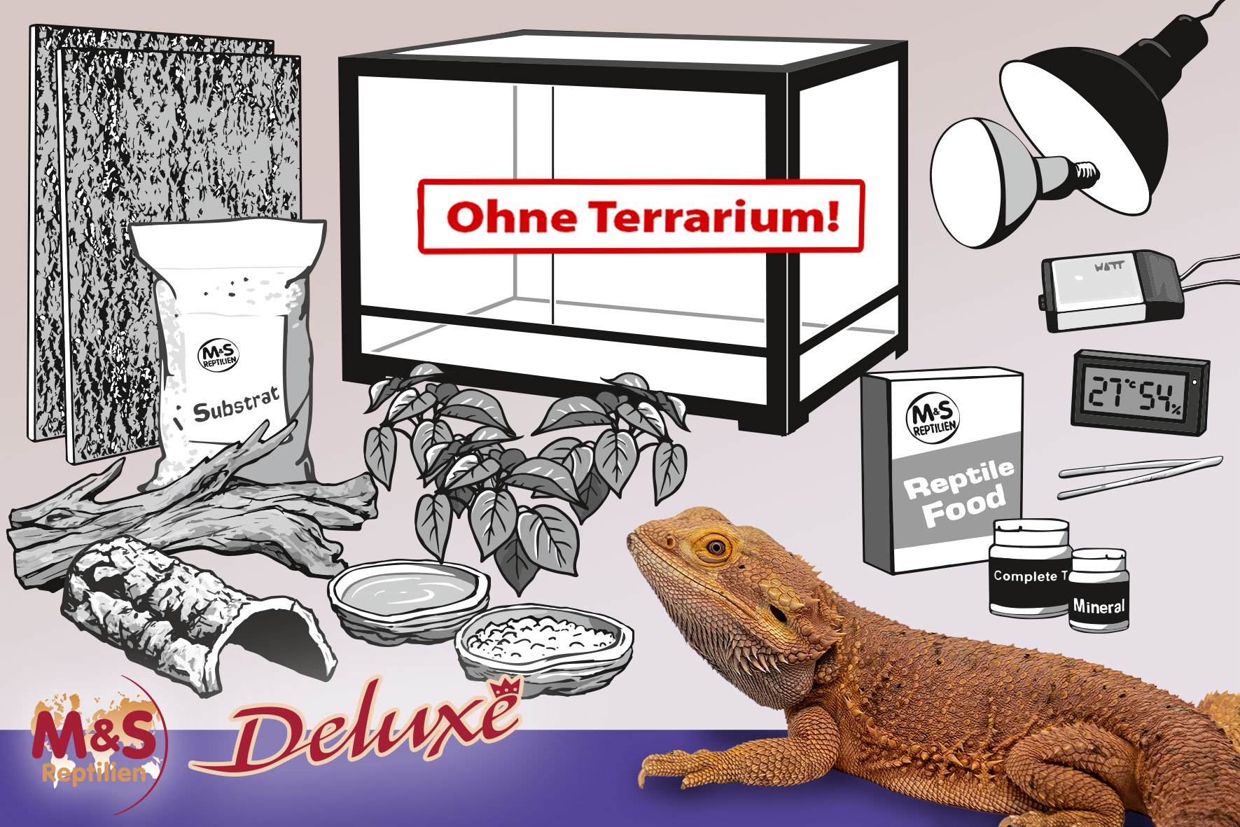 Komplettset DELUXE: Für Bartagamen (120 cm Länge)