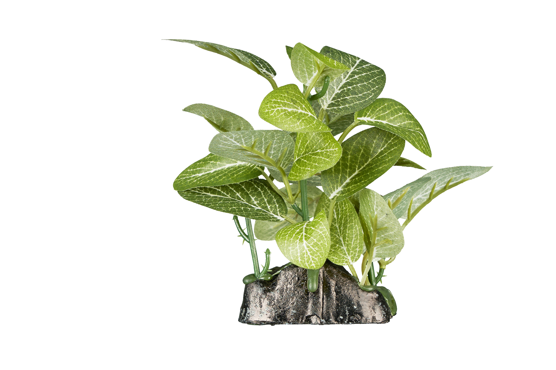 ReptiZoo Kunststoffpflanze "Fittonia verschaffeltii" – Terrariendekoration  (ca. 12 cm) – TP067