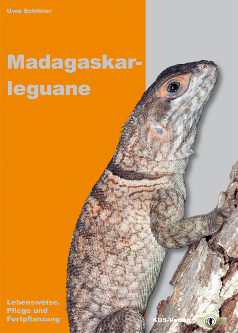 Madagaskarleguan - Lebensweise, Pflege und Fortpflanzung (Uwe Schlüter)