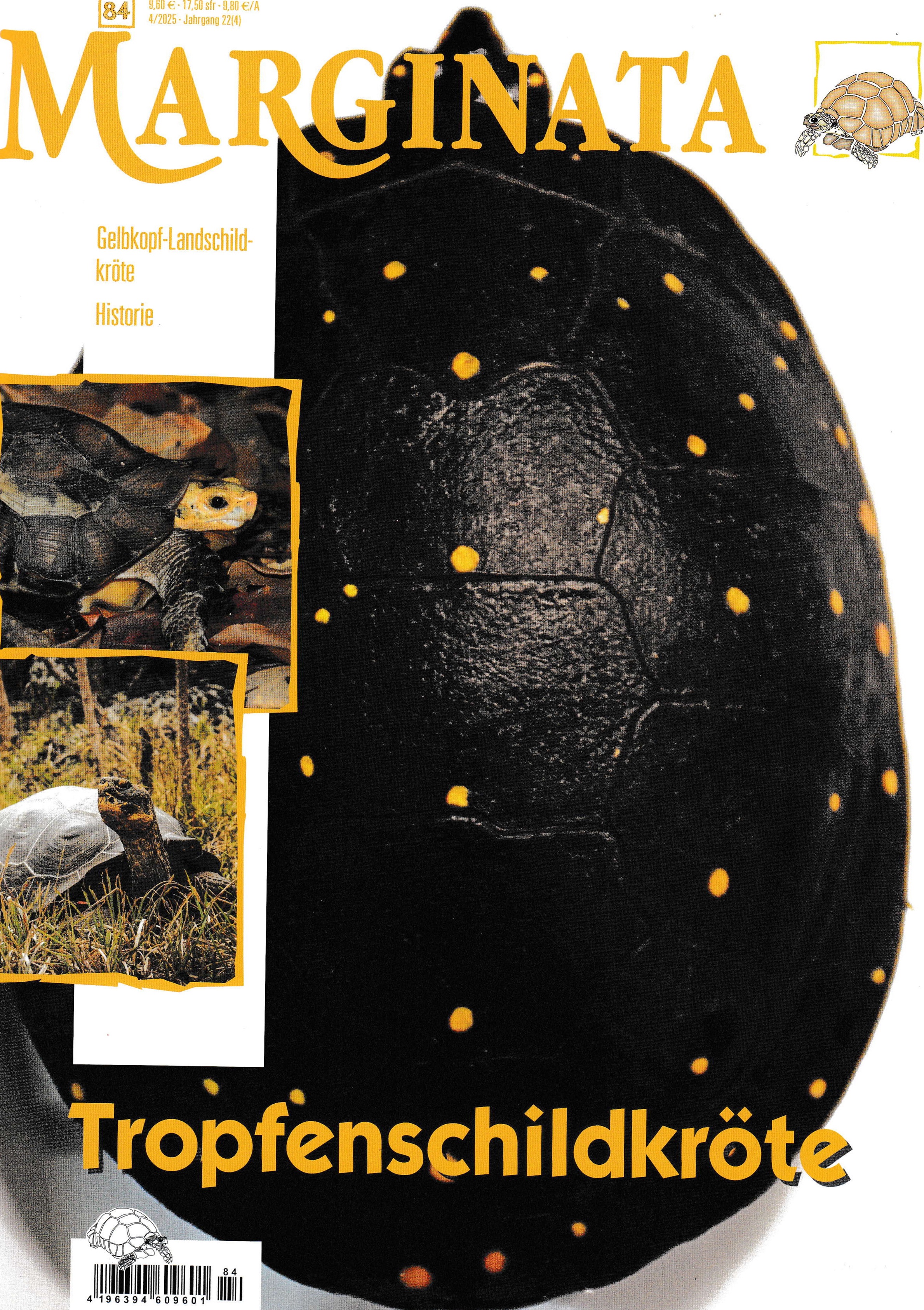 Marginata  Fachzeitschrift (84) 04/2025- Tropfenschildkröte