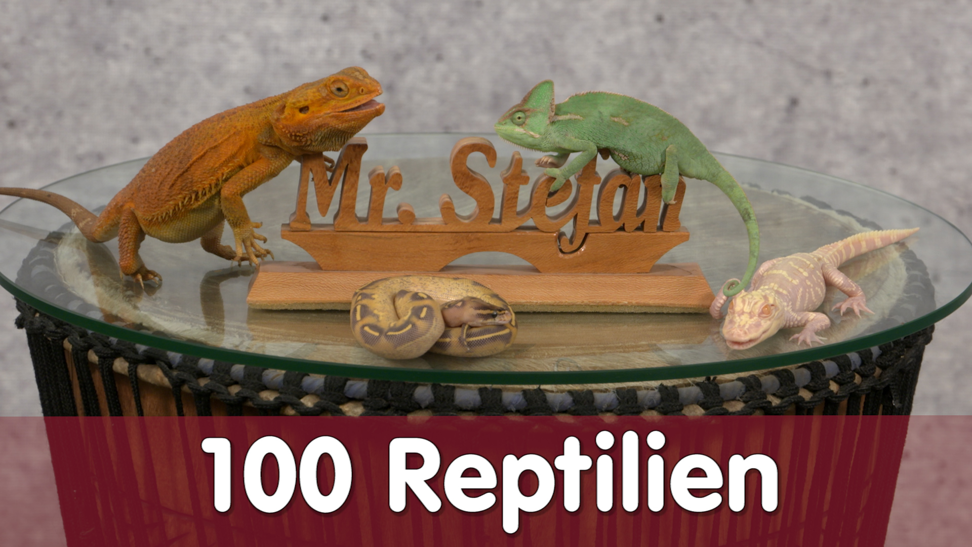 Folge 100 - 100 tolle Reptilien