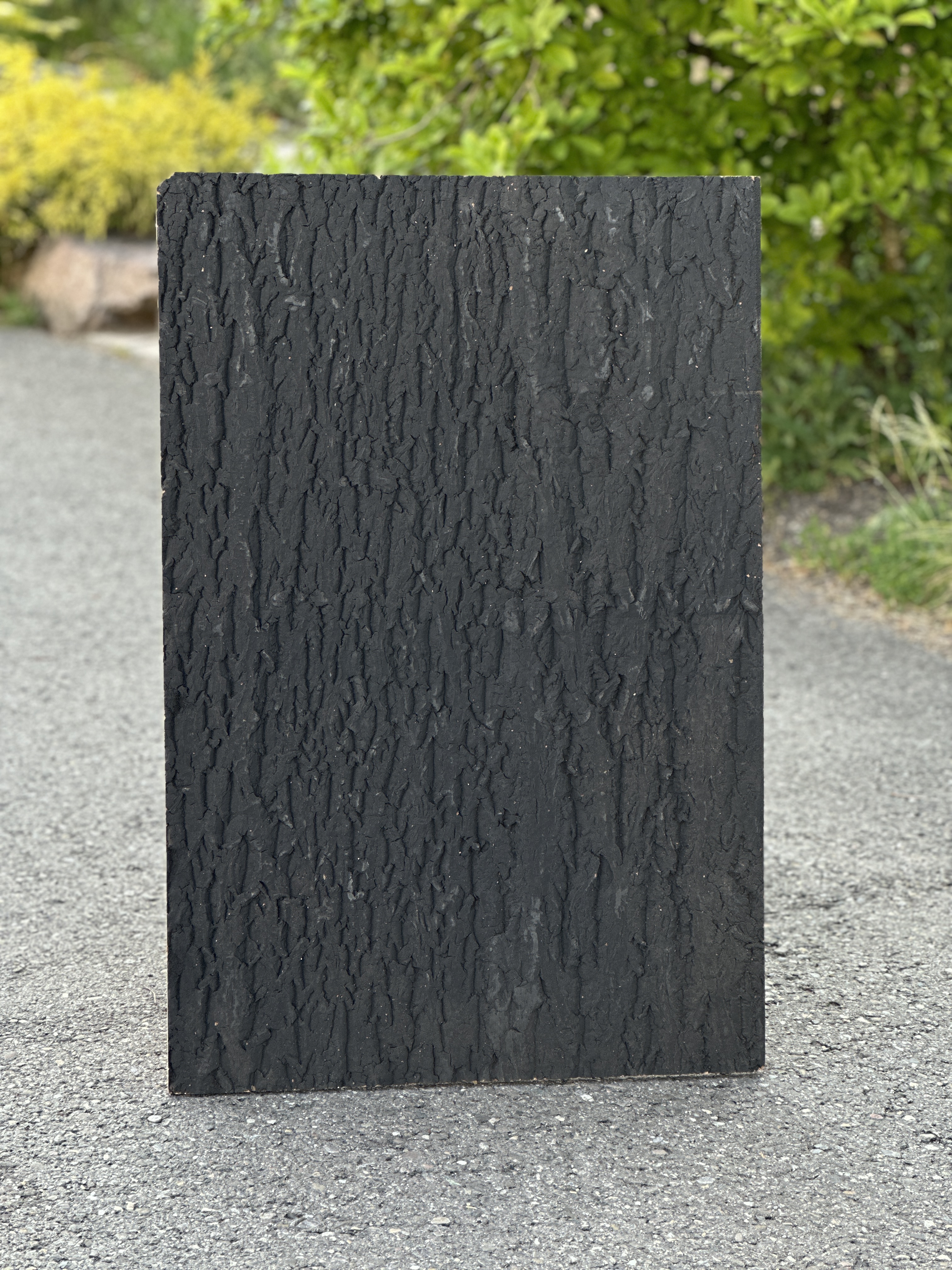 Zierkorkrückwand "Black Nature" Plattengröße 90 x 60 x 2cm (DPCT093)