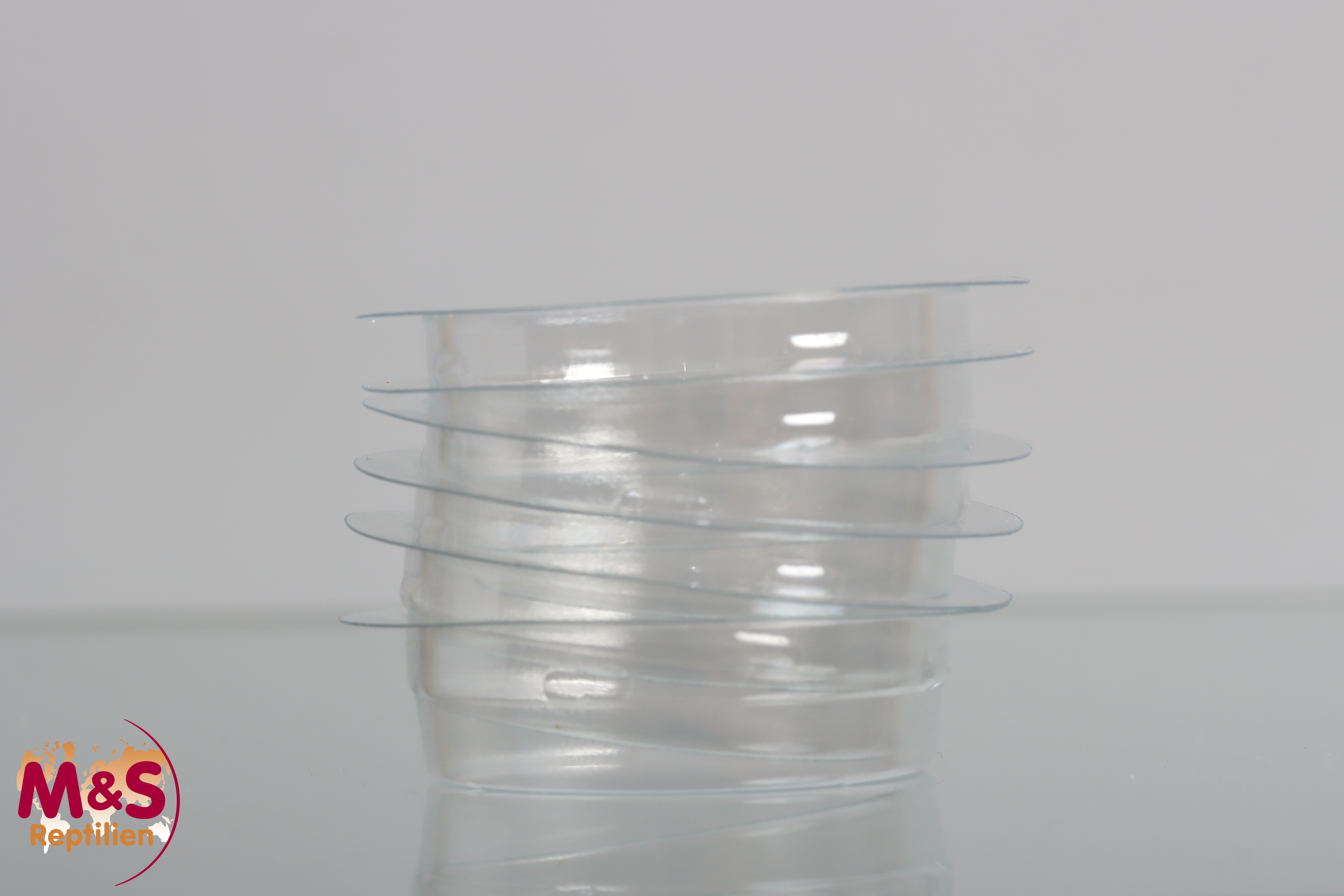 Reptizoo Ersatzbecher KLAR Ø 50mm - passend für Reptizoo Futterhalter doppelt  (SX01-4)