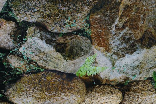 Terrarienrückwand, GRANIT