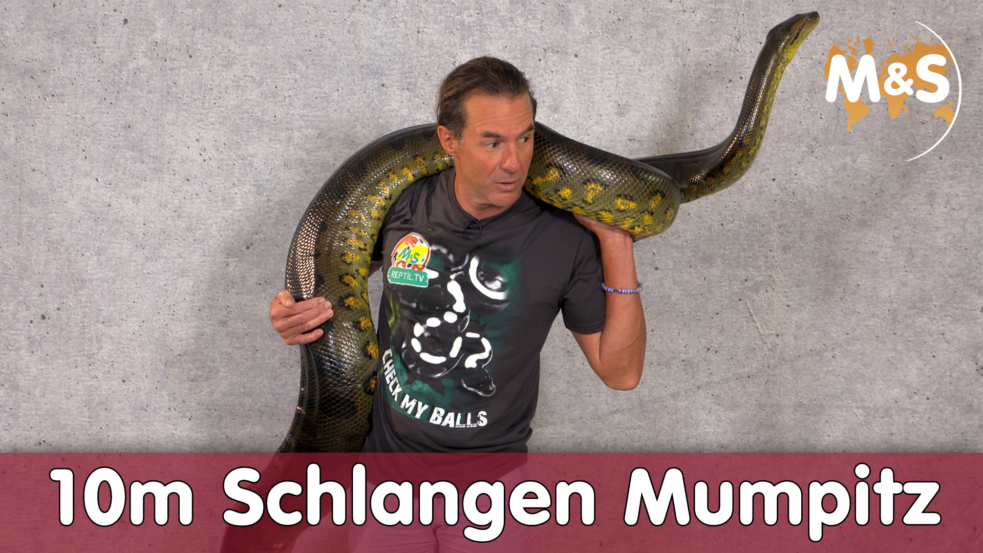 Terraristik Mumpitz | 3 große Mythen über Reptilien | 10 Meter Schlange?