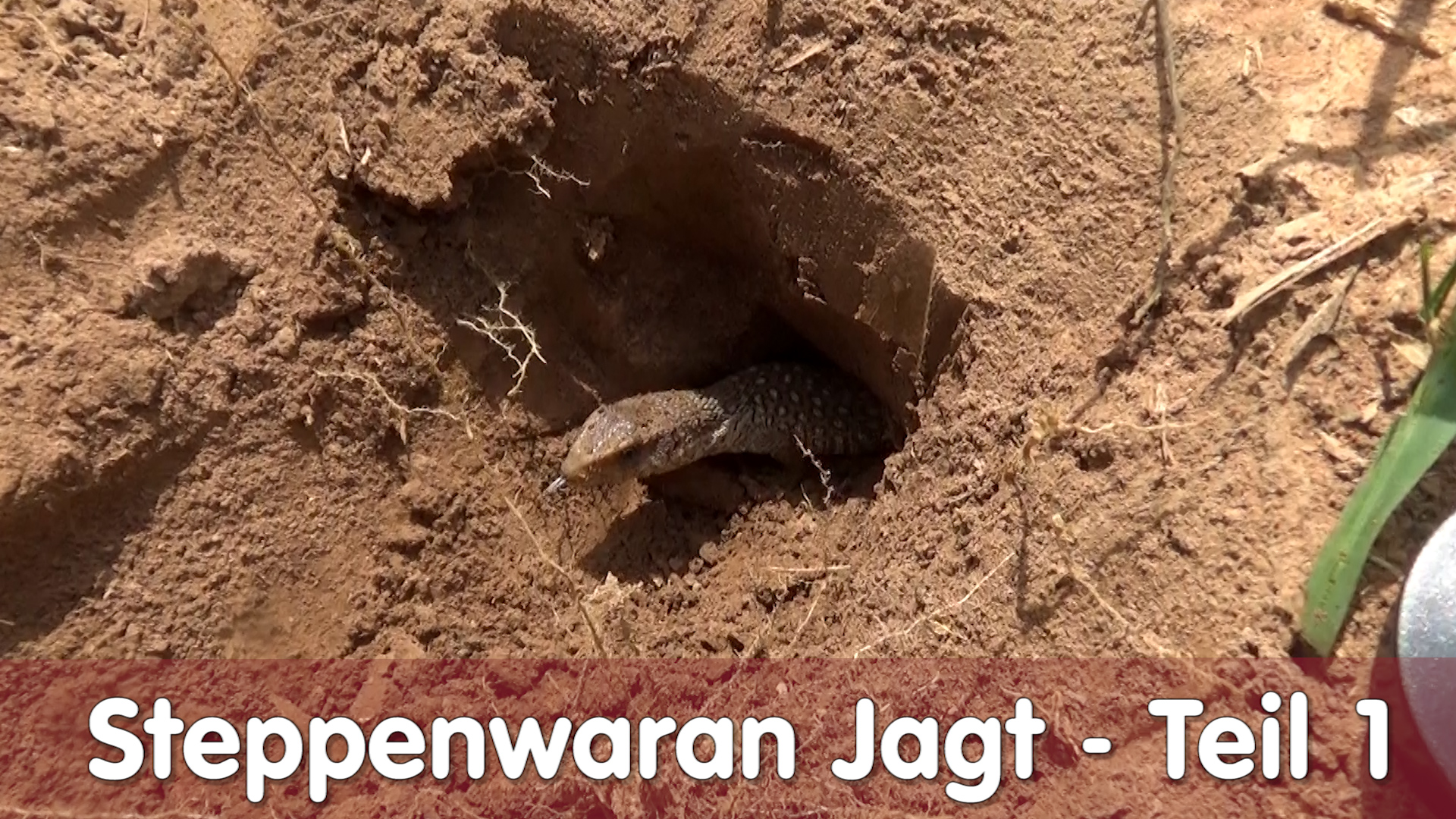 Folge 115 - Steppenwaran Jagt in Afrika 2018 – Teil 1
