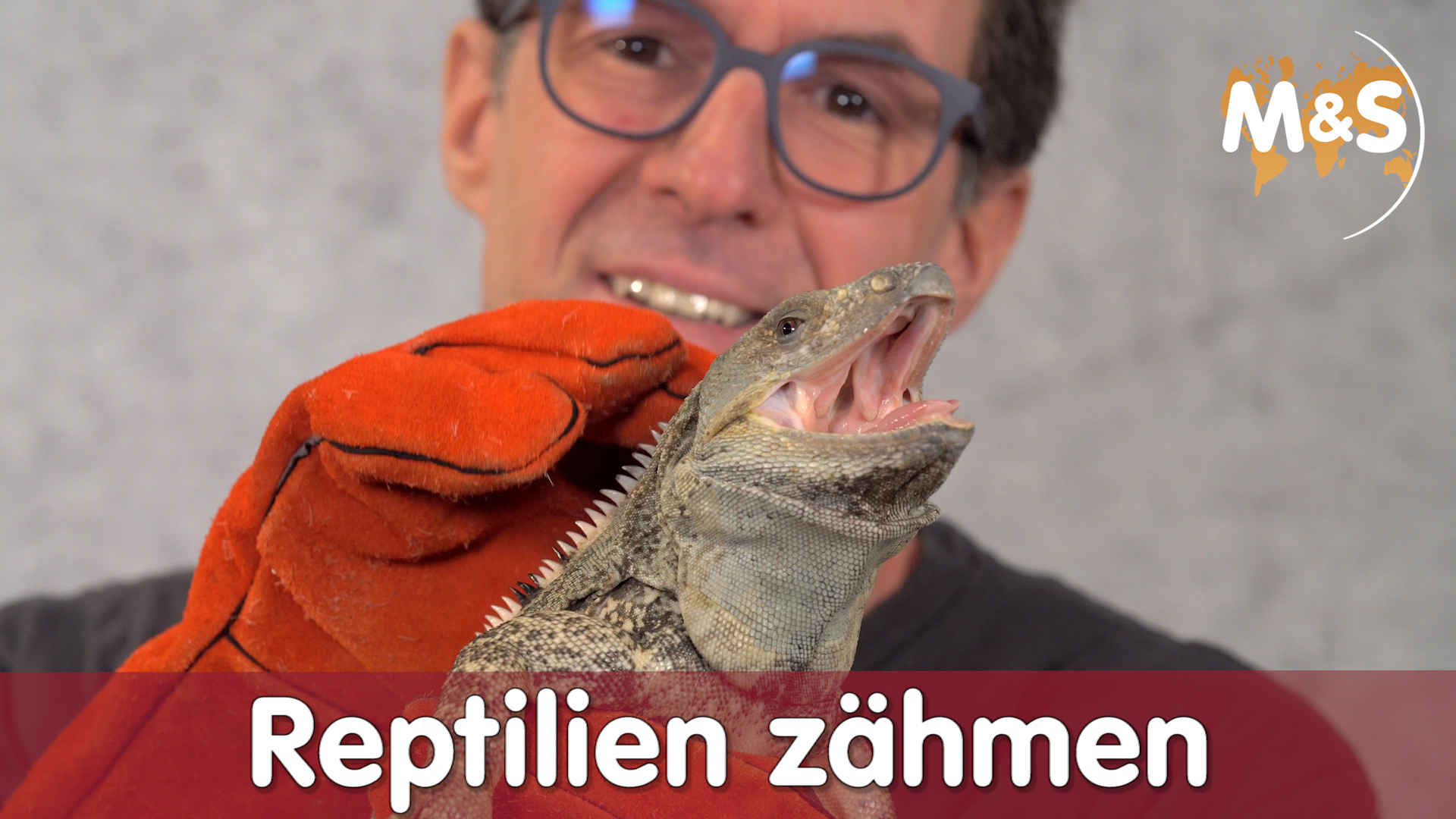 Reptilien zähmen | So wird jedes Tier brav und lieb! | Reptil TV