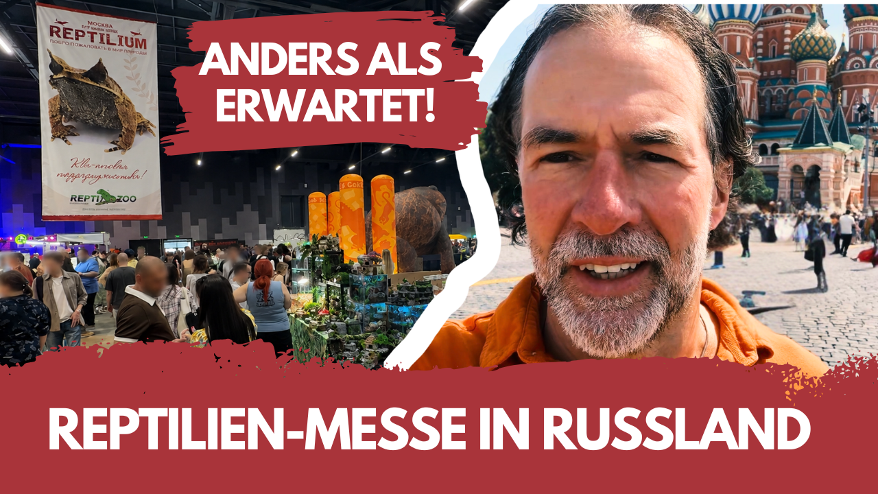 Reptilienmesse Moskau: Warum ich trotzdem hingeflogen bin...