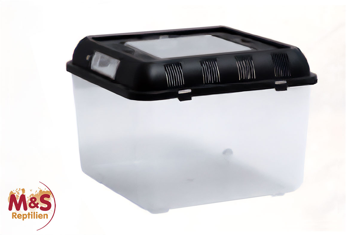 ReptiZoo Plastikterrarium small 26x26x20 cm ( RT2002B)