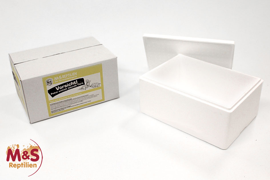 Styroporbox mit Umkartonage ( Versandbox )