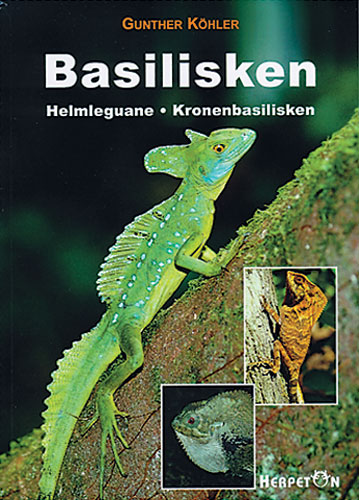Basilisken, Helmleguane, Kronenbasilisken (Gunther Köhler)