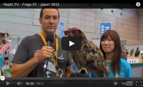 Folge 57 - Japan 2013