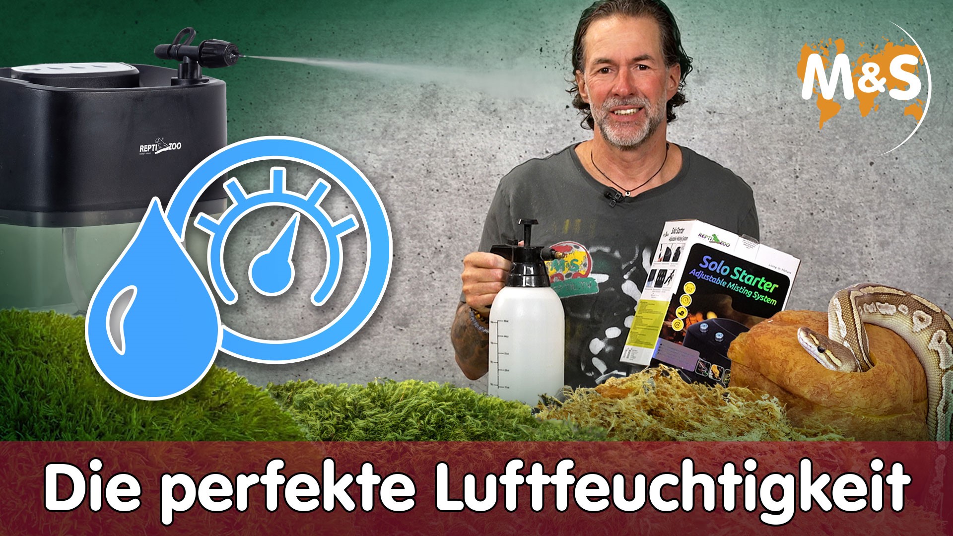Mein Terrarium ist zu trocken. Was tun? Luftfeuchtigkeit gering!