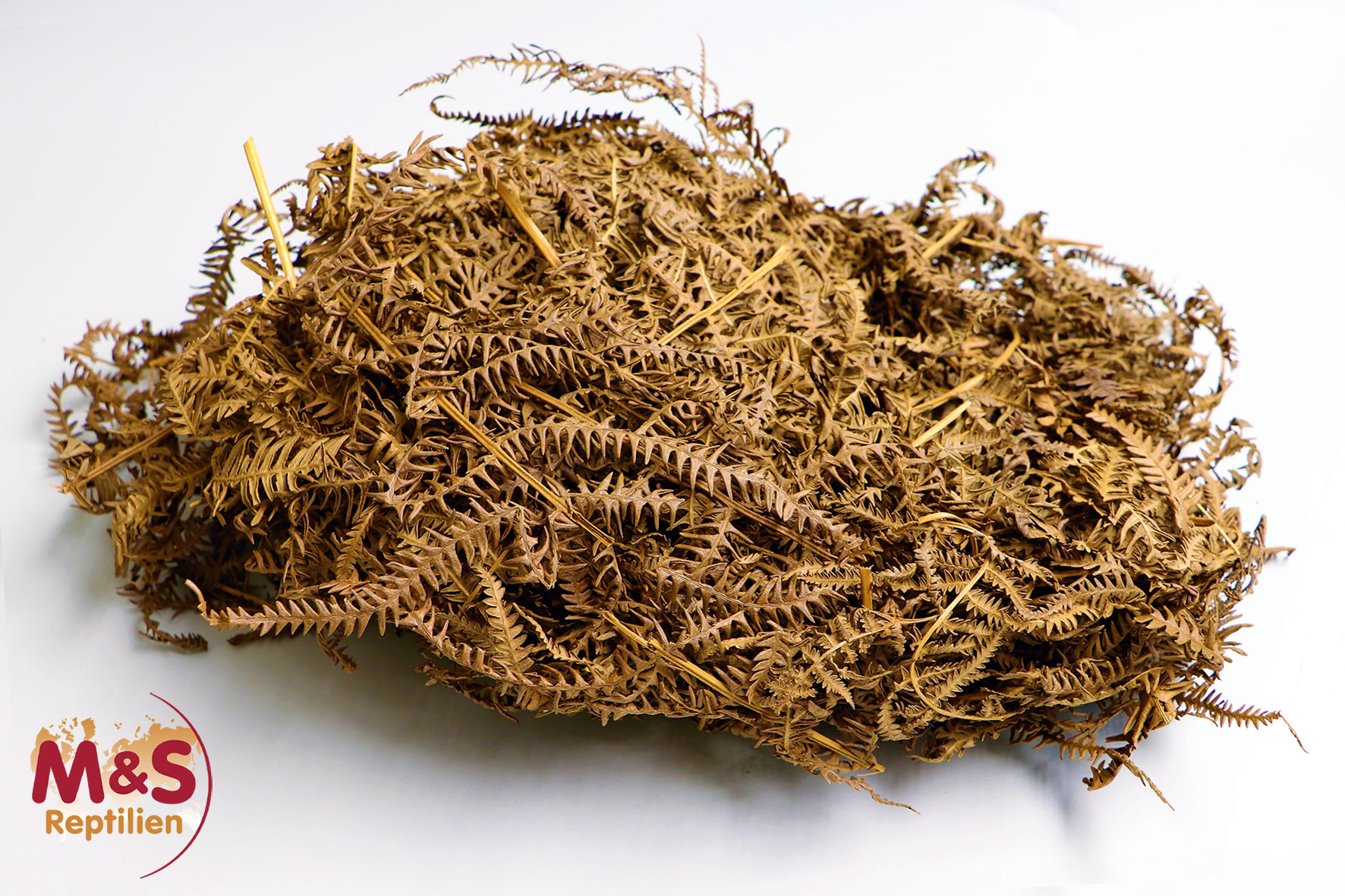 Farnblätter im Beutel