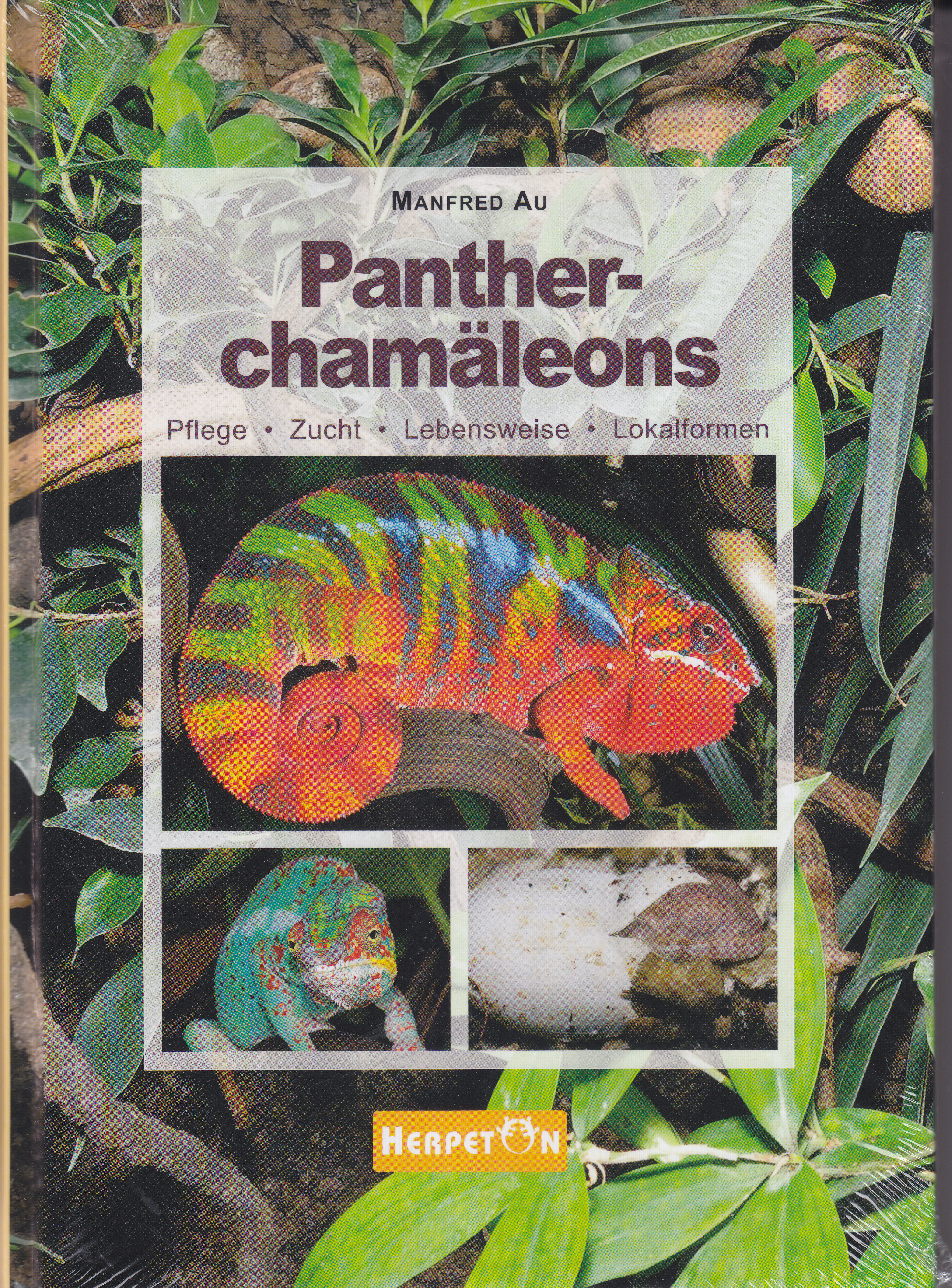 Pantherchamäleons - Pflege, Zucht, Lebensweise, Lokalformen (Manfred Au)
