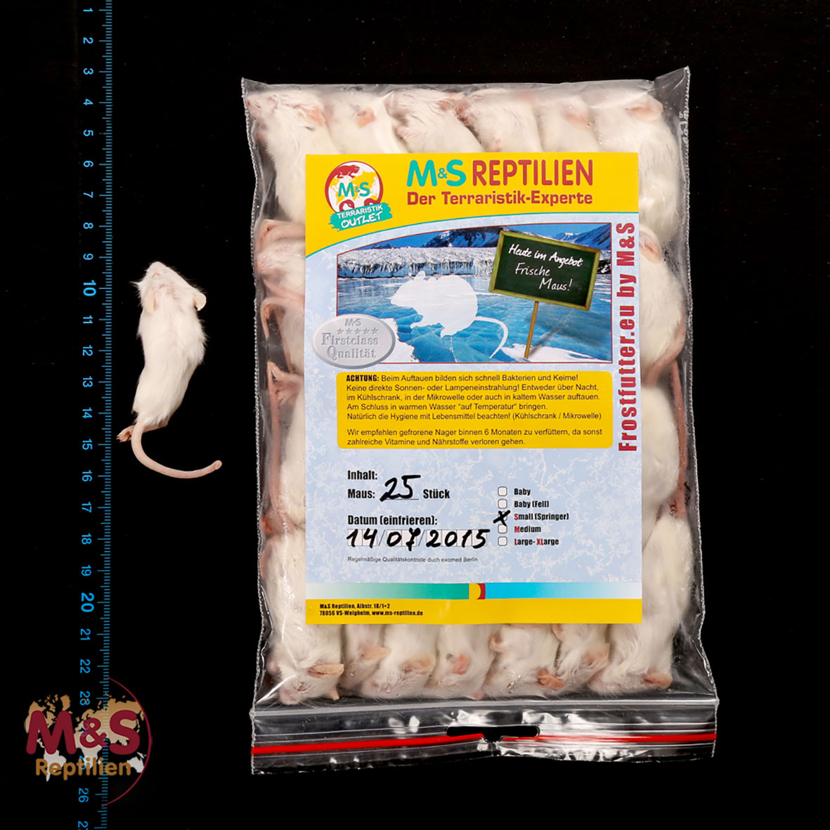 1 (einzelne) Maus small (Springer), gefroren, ca. 10-15g