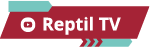 BannerReptilTv