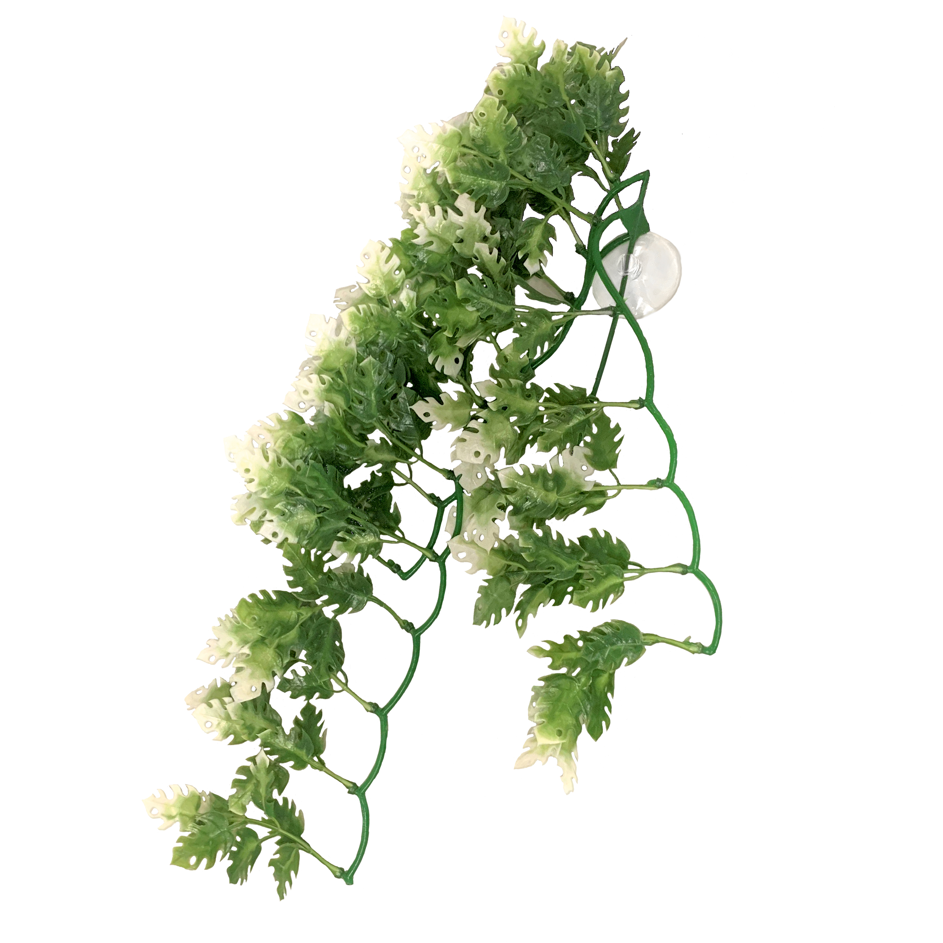 ReptiZoo Kunststoffpflanze "Monstera leave" – Terrariendekoration  (ca 40 cm) – TP019 (16)