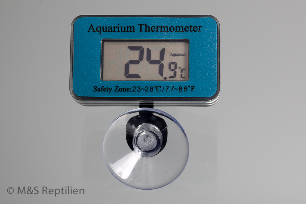 M&S Digitales Thermometer (blau) mit Sauger  ''wasserdicht''  (siehe Videoanleitung )