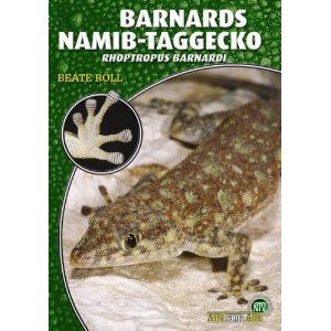 Barnards Namib-Taggecko - Rhoptropus barnardi (Beate Röll)
