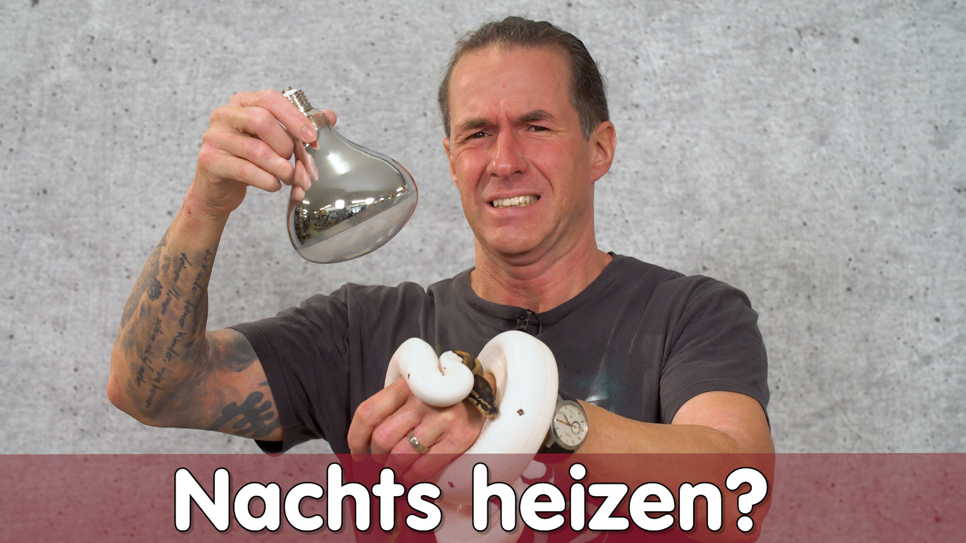 Terrarium nachts heizen? | Macht nicht diesen FEHLER! | Reptil TV