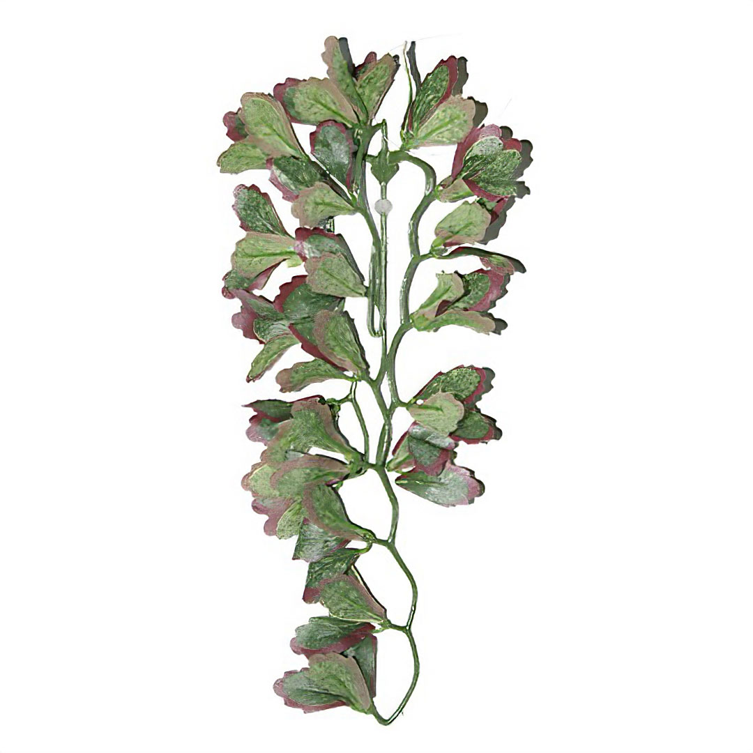 ReptiZoo Kunststoffpflanze "Var. marginatum" – Terrariendekoration  (30 cm oder 50 cm)
