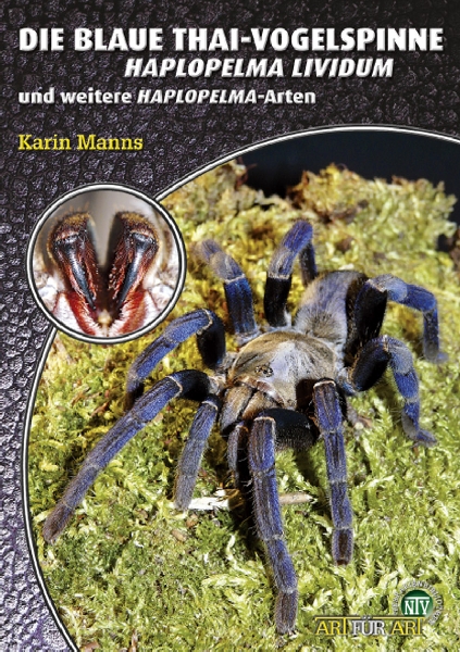 Die Blaue Thai-Vogelspinne - Haplopelma lividum und weitere Haplopelma-Arten (Karin Manns)