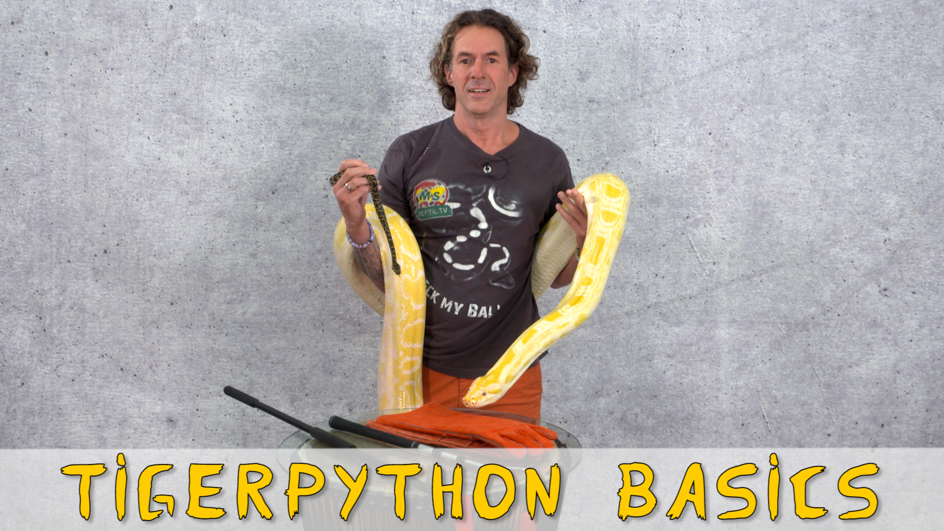 Folge 92 - Tigerpython Basics