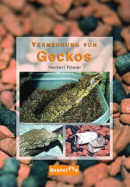 Vermehrung von Geckos (Herbert Rösler)