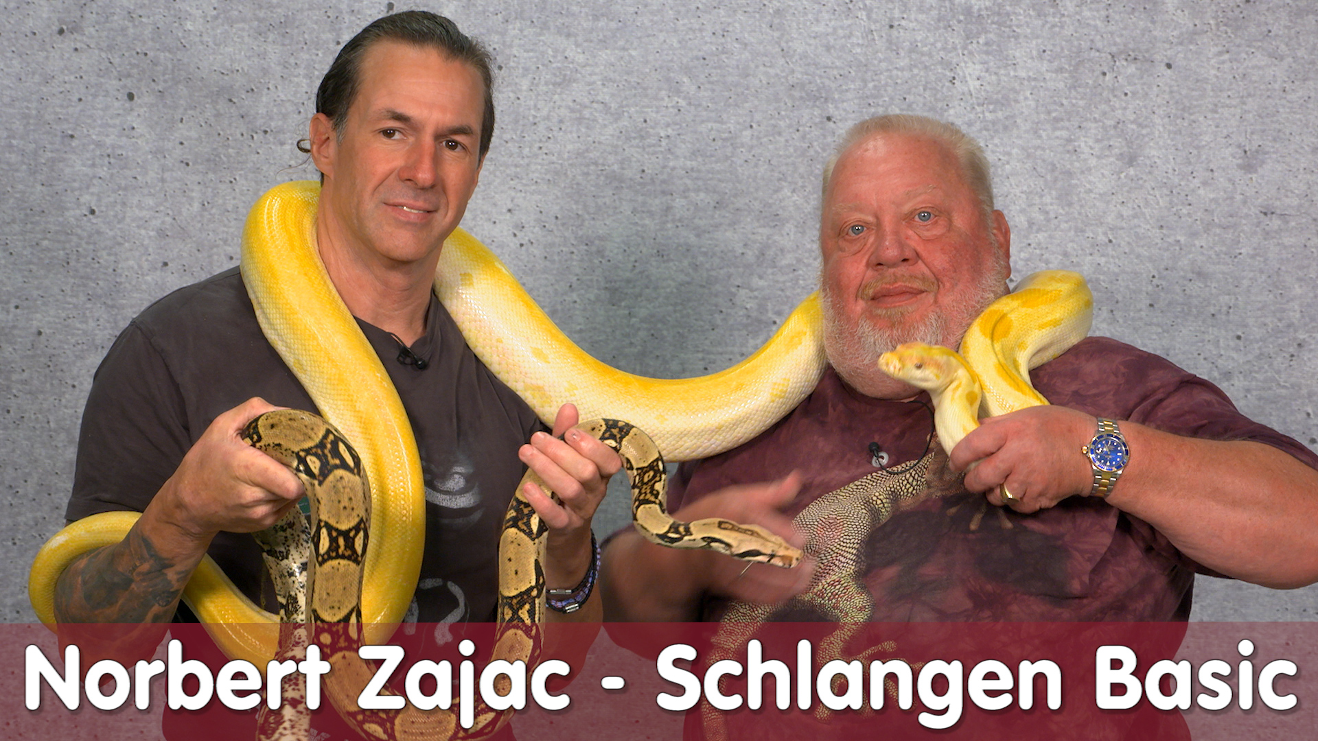 Zu Besuch beim Schlangenzüchter | NORBERT ZAJAC | Zoo Zajac