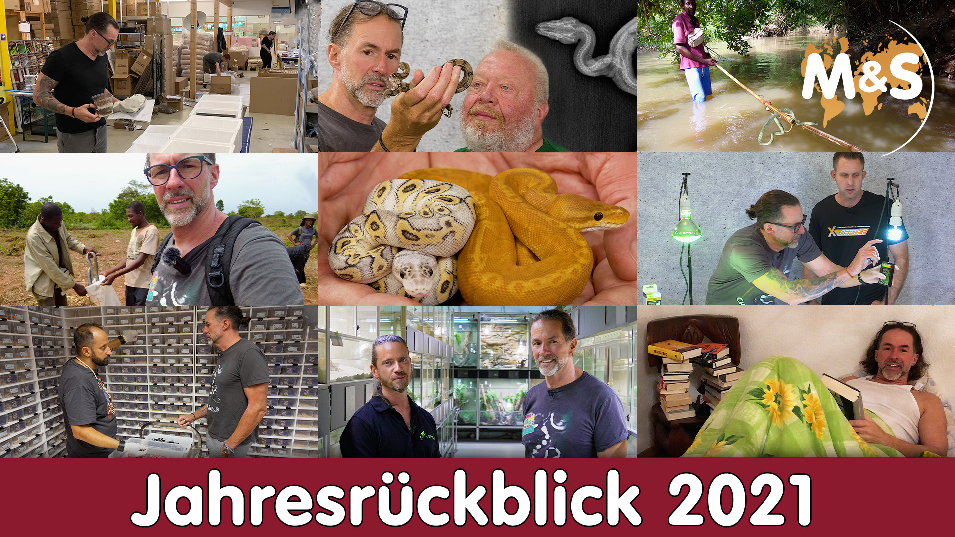 Mein Jahresrückblick 2021 | Best of Reptil TV | Stefan Broghammer