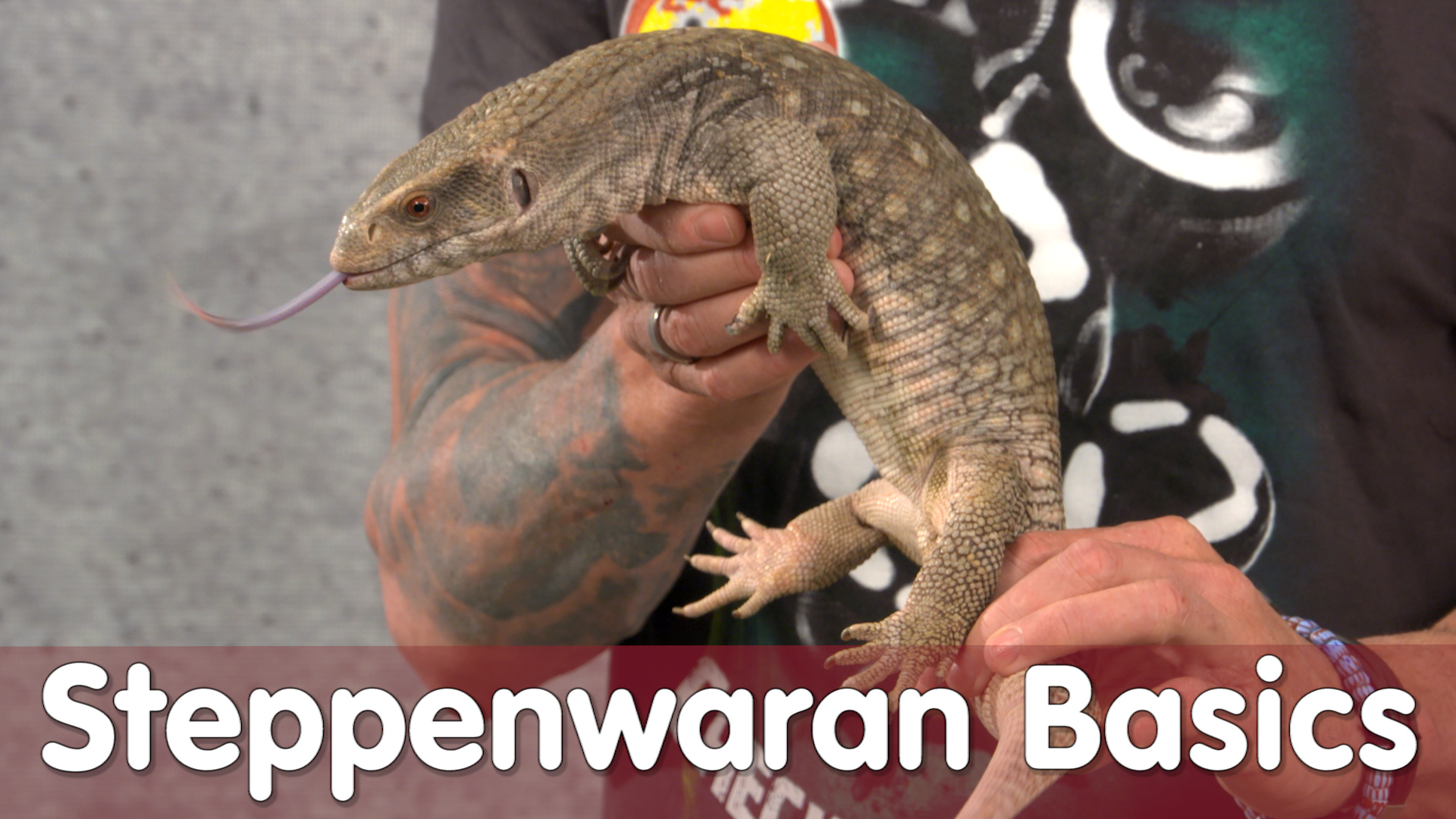 Folge 104 - Steppenwaran Basic