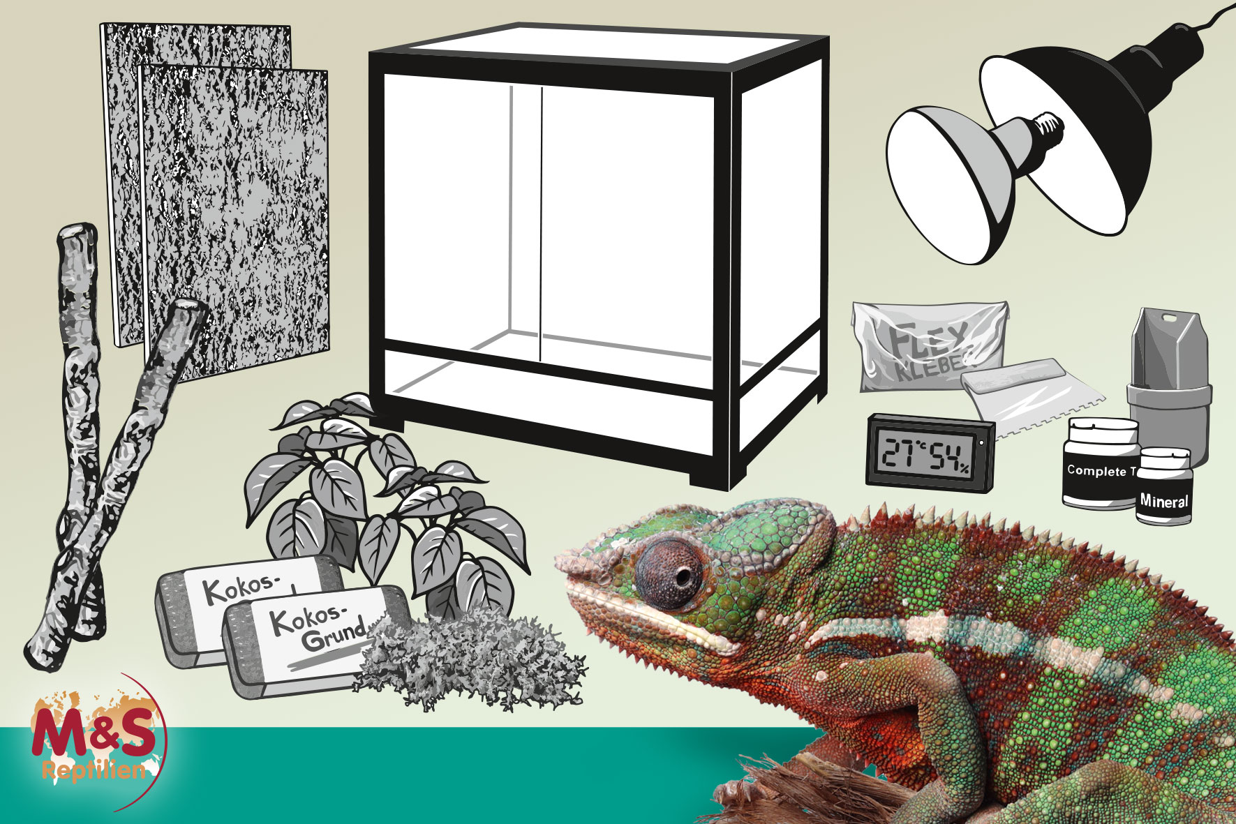 Komplettset: Für Chamäleons mit ReptiZoo Hoch-Glasterrarium (RK242448), 61x61x122cm
