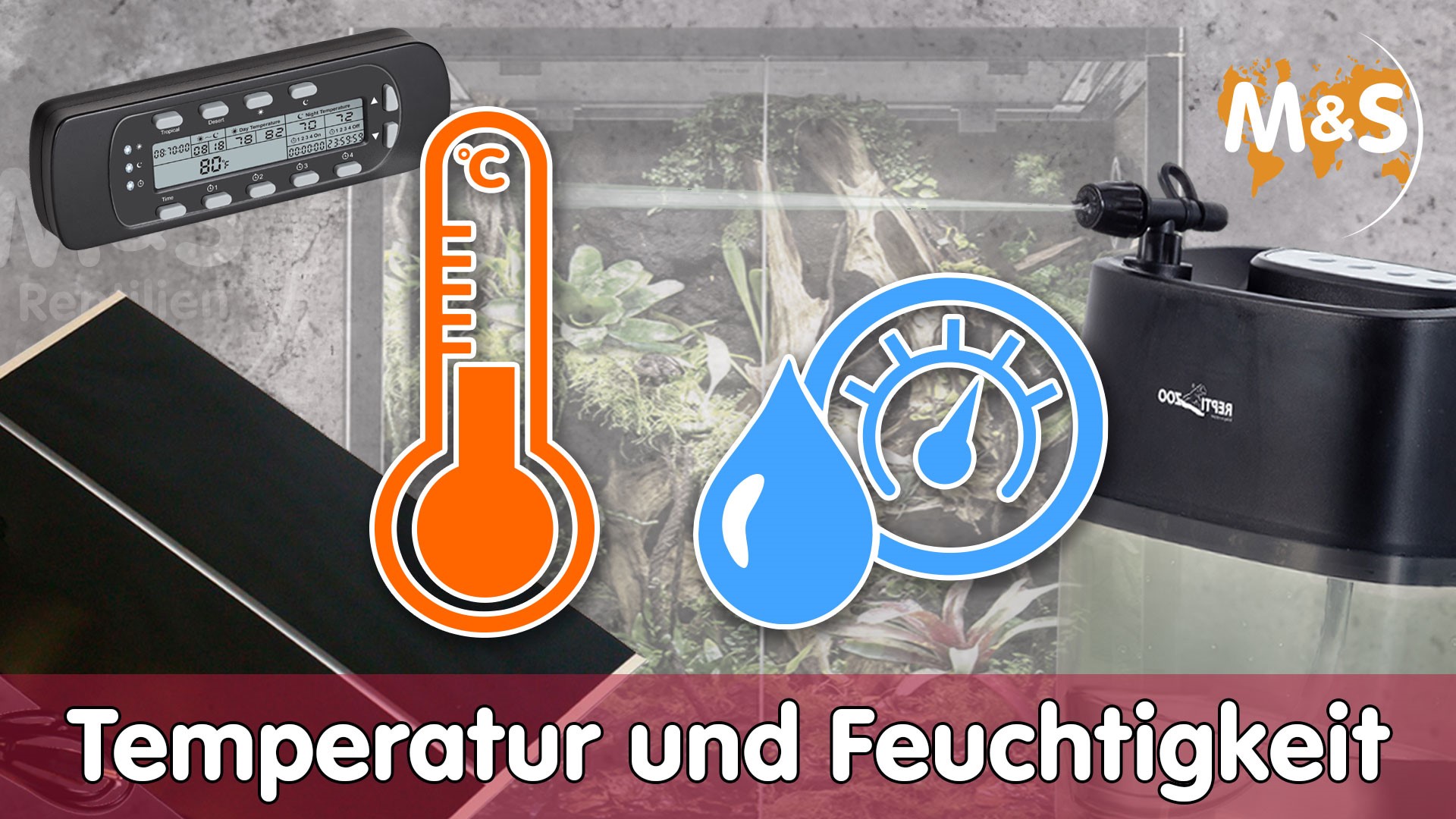 Temperatur- und Feuchtigkeitsregulierung im Terrarium