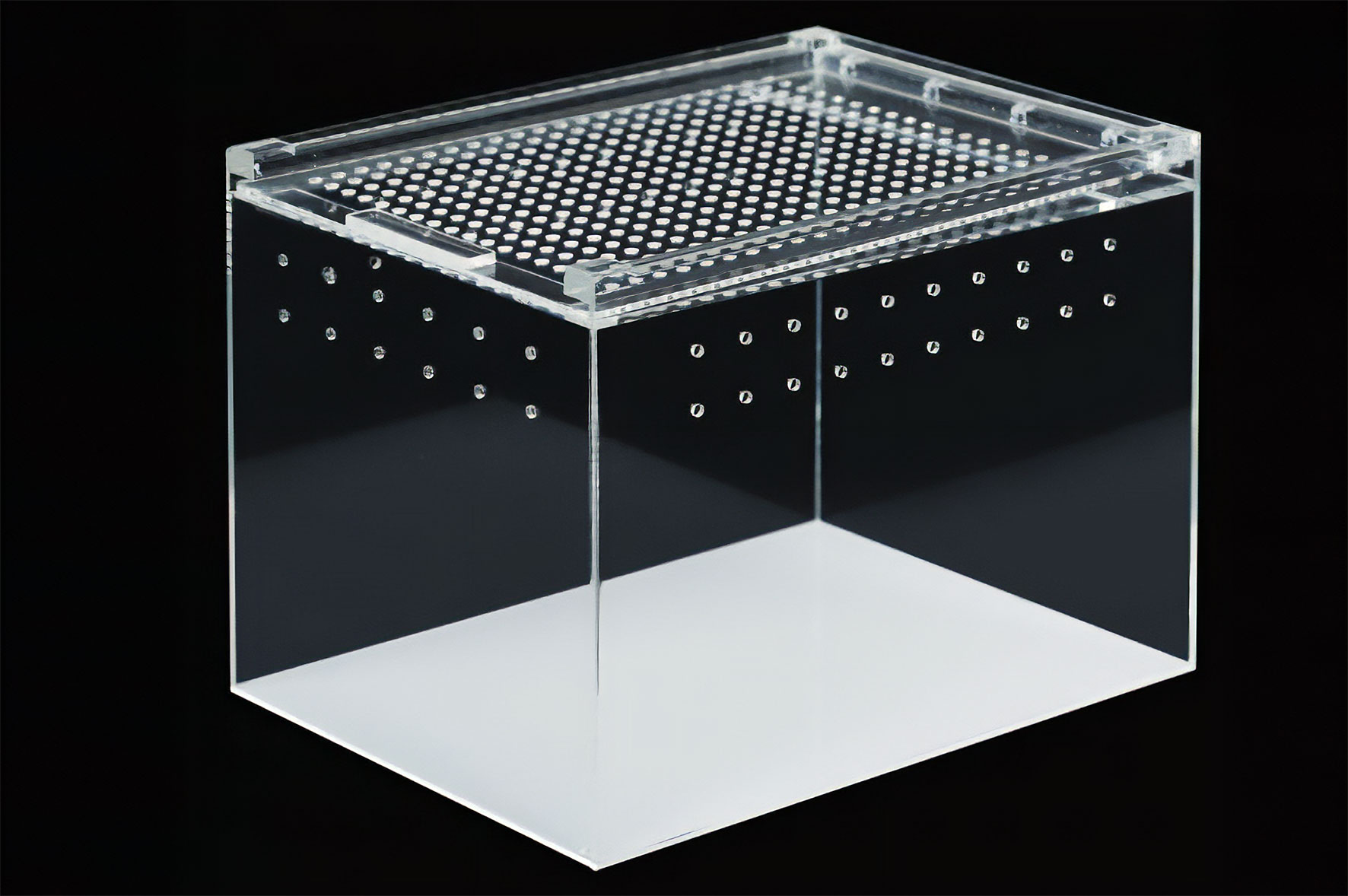 ReptiZoo Plexiglasterrarium (Aufzuchtterrarium) 15x20x15  cm weiß (ACR03)