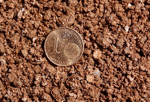 M&S Reptile-Sand red im Beutel