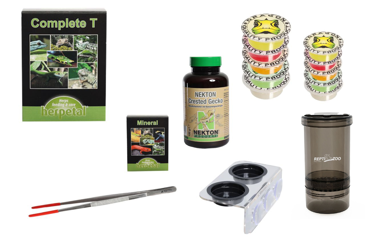 TAGGECKO und KRONENGECKO Ernährungsset inkl. Vitaminpräparate und Zubehör