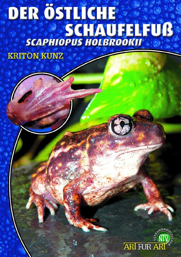 Der östliche Schaufelfuß  - Scaphiopus holbrookii (Kriton Kunz)