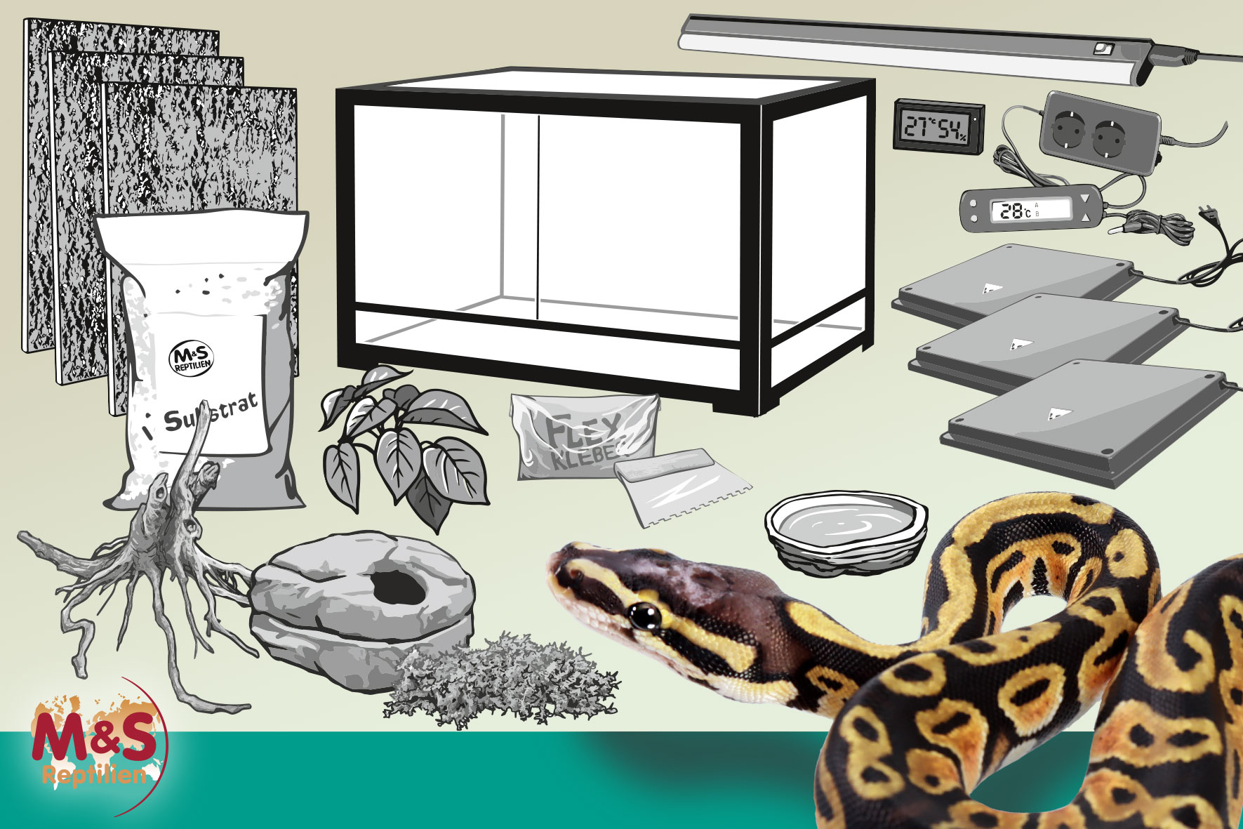 Komplettset: Für Königspythons (ca. 150 cm Länge) mit ReptiZoo Glasterrarium (RK0232-S/RK0232-B), 152x61x61cm