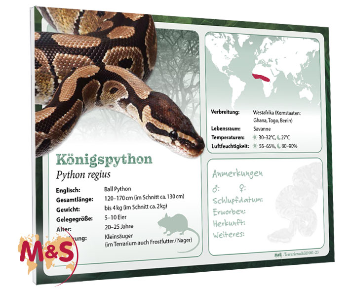 Terrarienschild (Zooschild) Königspython, Python regius