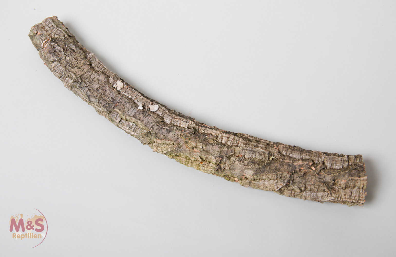 Zierkork Tronchos einfach - large - ca. 70-90 cm ( ca. 2 kg )