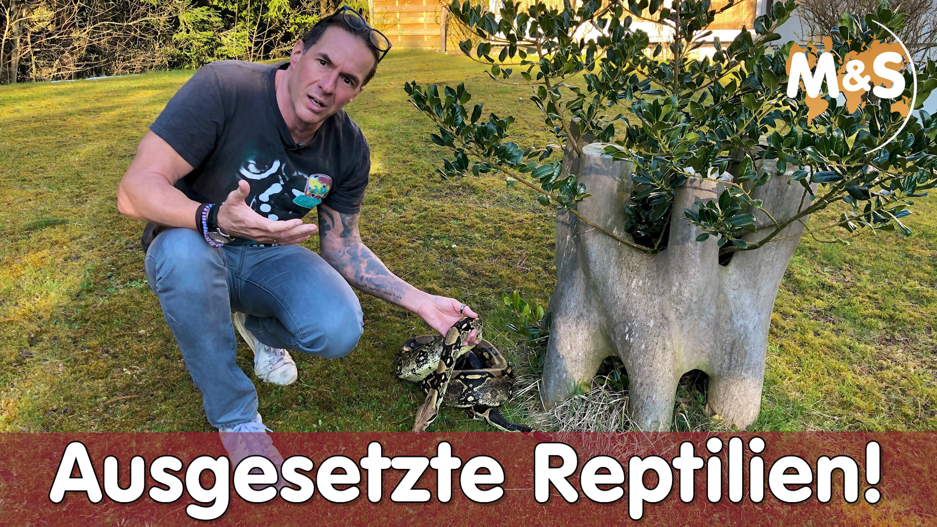 Ausgesetzte Reptilien, das muss nicht sein! | Hilfe & Tips | Reptil TV