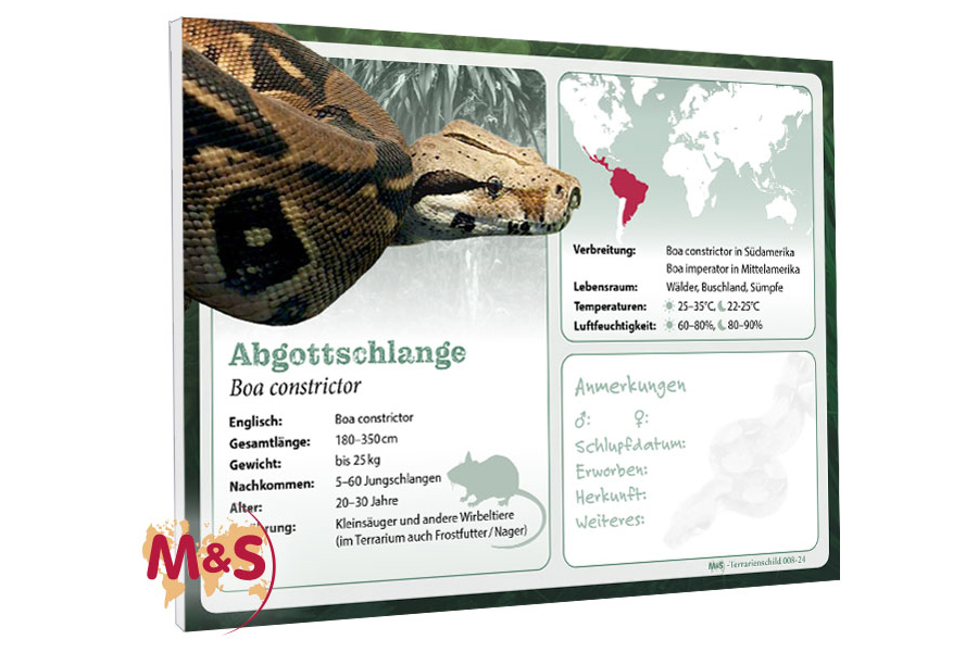 Terrarienschild (Zooschild) Abgottschlange, Boa constrictor